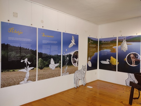 Razstava na gradu Prem (3)